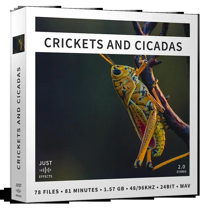 Crickets and Cicadas 官方产品图