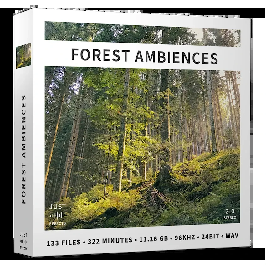 Forest Ambiences 官方产品图