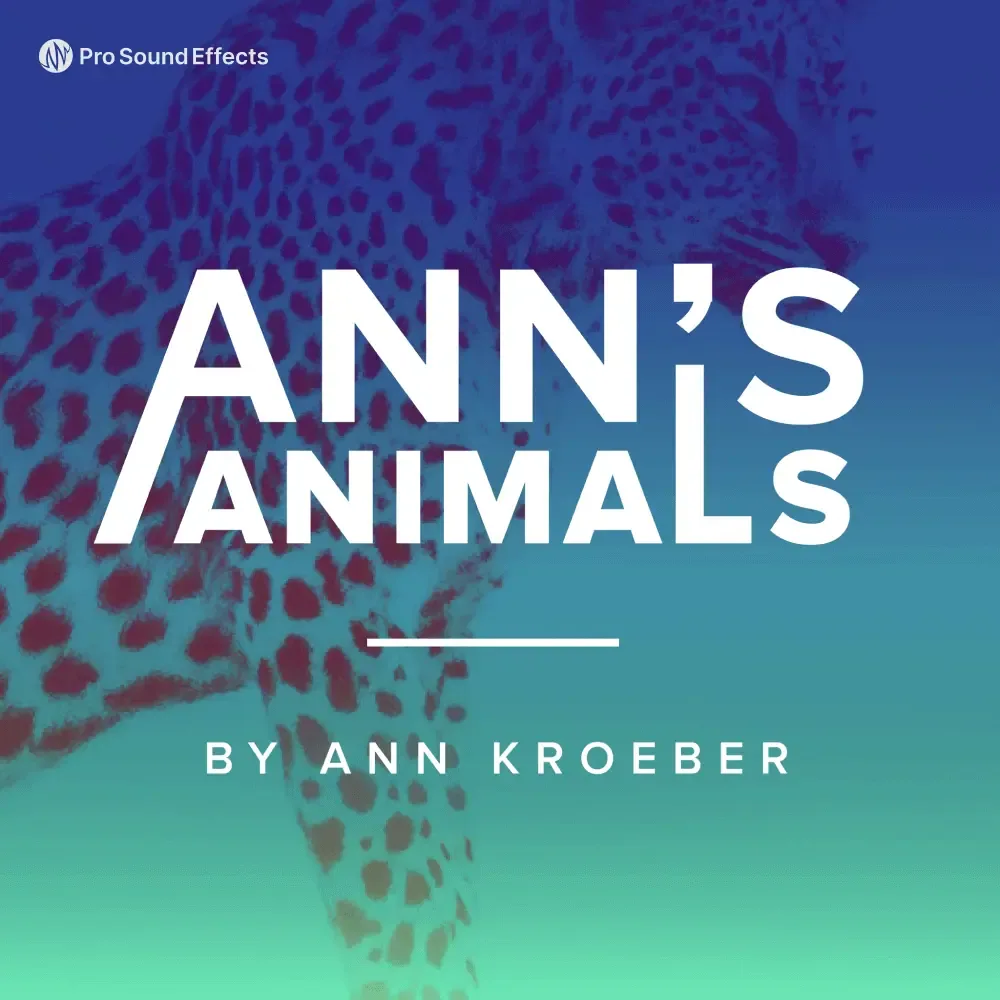 Ann's Animals 官方产品图