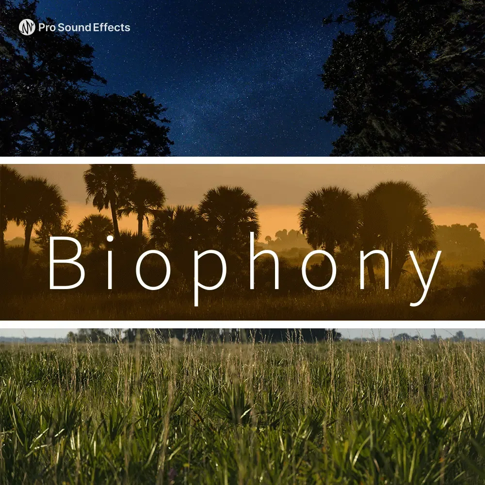 Biophony 官方产品图