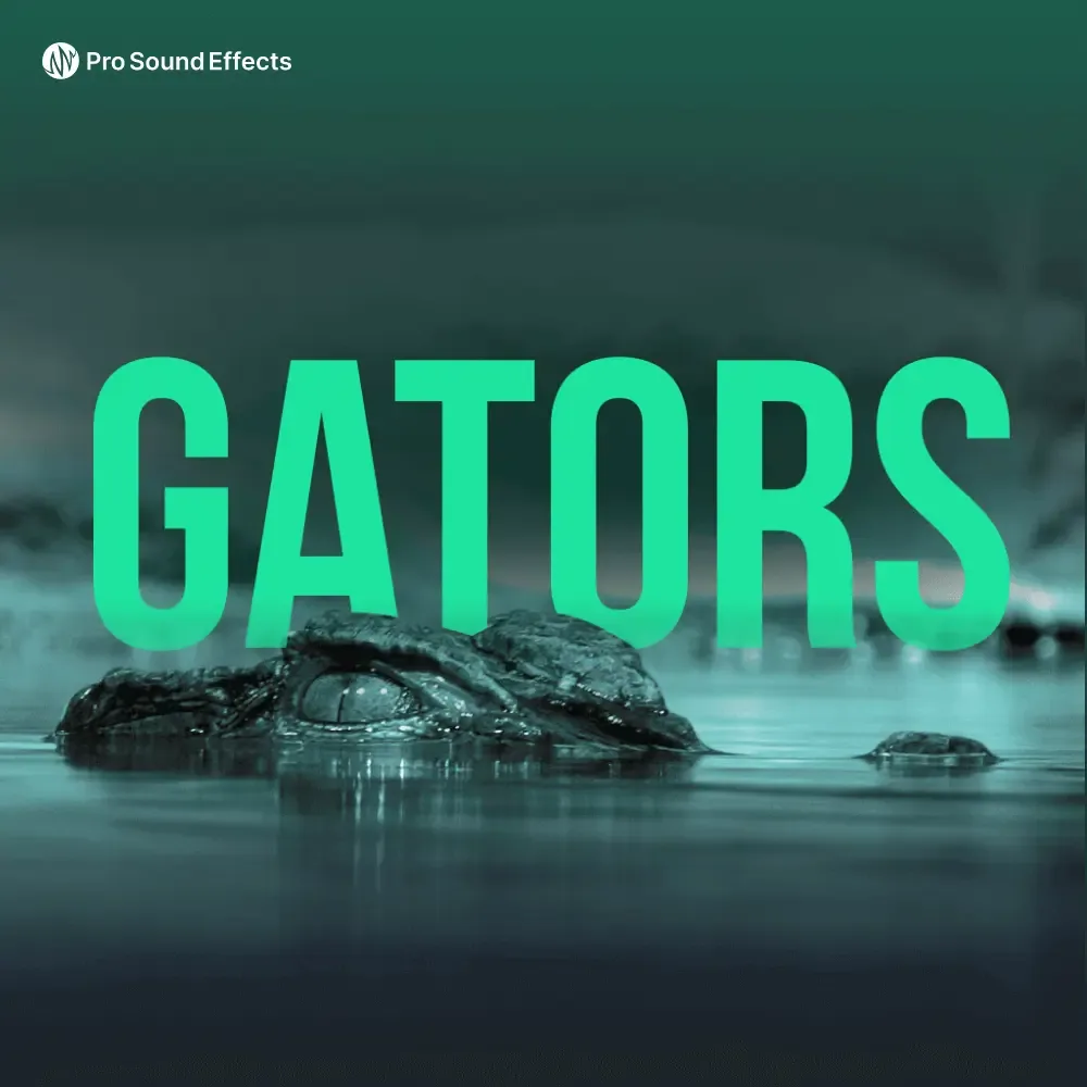 Gators 官方产品图