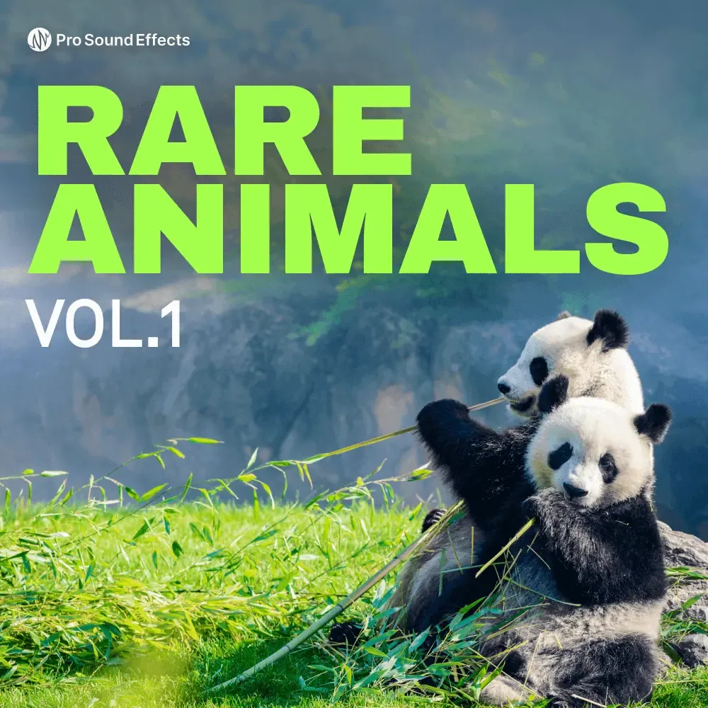 Rare Animals 官方产品图