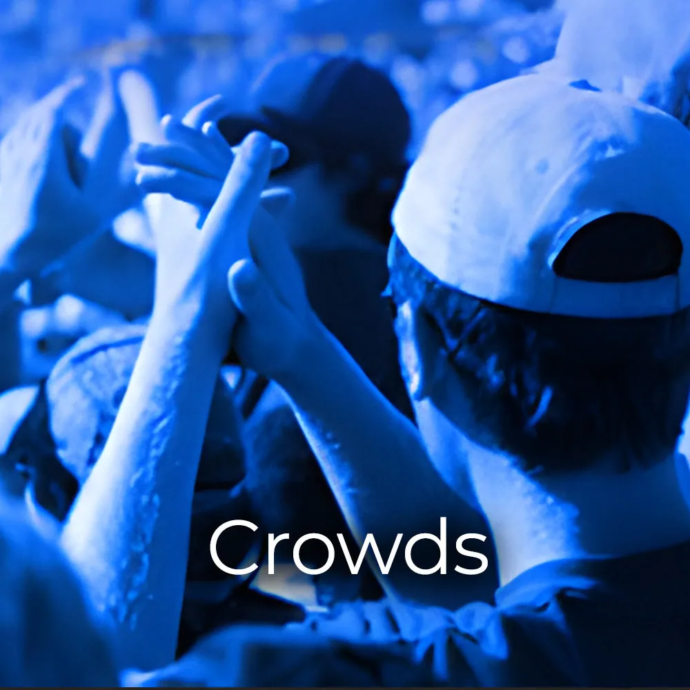 Crowds and Audience Sound Effects 官方产品图