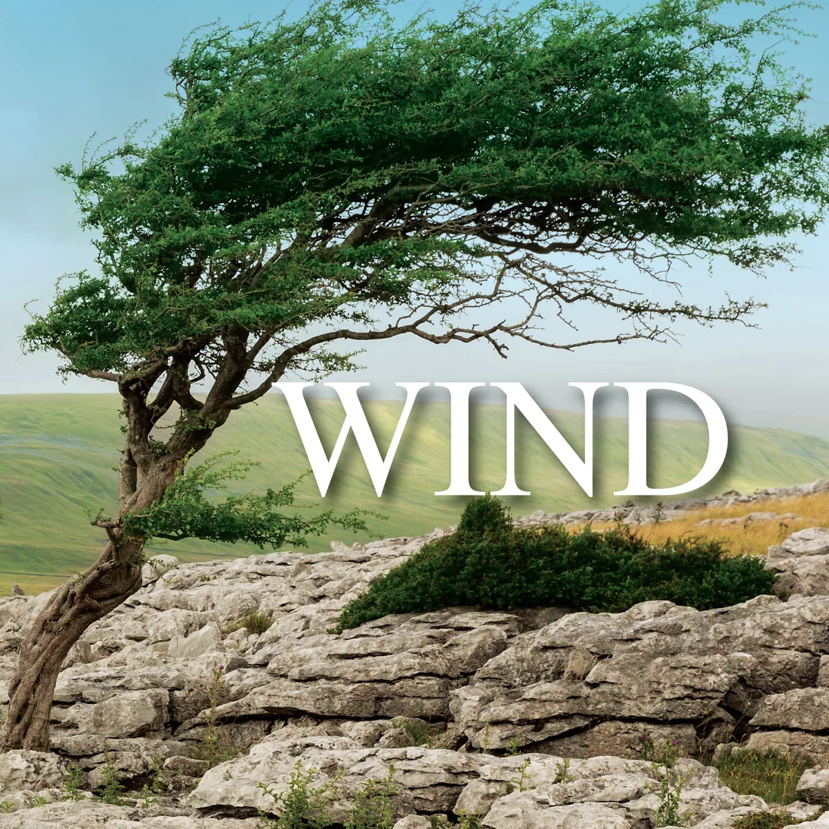 Wind Sound Effects 官方产品图