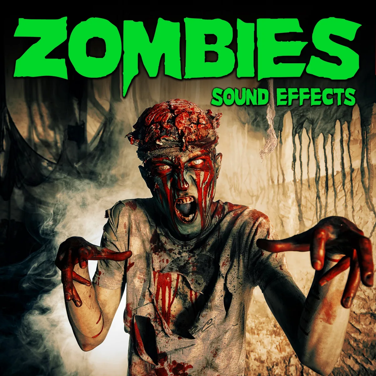 Zombies Sound Effects 官方产品图